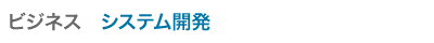 システム開発