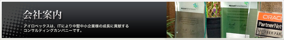 会社案内　アイロベックスは、ITにより中堅中小企業様の成長に貢献するコンサルティングカンパニーです。