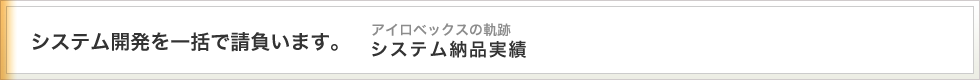 アイロベックスのシステム納品実績のご紹介。