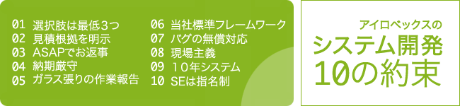 アイロベックスのシステム開発10の約束