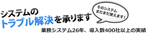 システムのトラブル解決を承ります そのシステムまだまだ使えます！　業務システム24年、導入数400社以上の実績